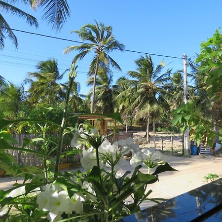 Villa Dos Coqueirais إيكاري المظهر الخارجي الصورة