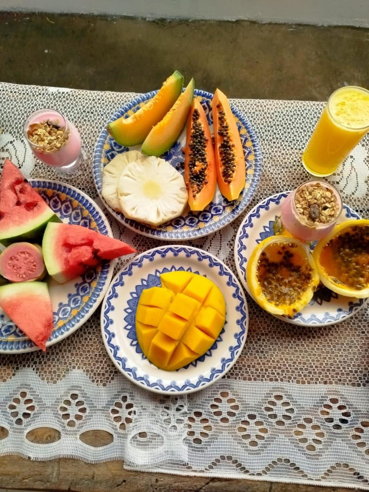 Villa Dos Coqueirais إيكاري المظهر الخارجي الصورة